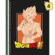 Caderno 1 Matéria 80Fls Dragon Ball C. Dura Sortido - Sao Domingos